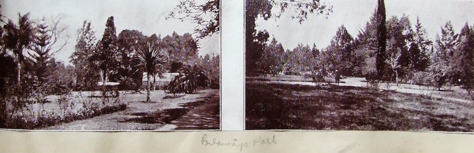 ed_1910_bulawayo_park.jpg
