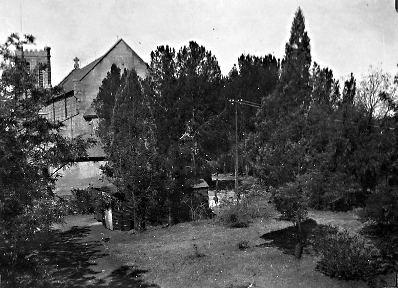 1933_st_marys_cathedral_trees