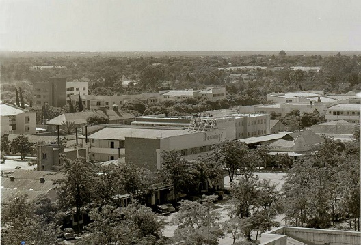 ed_1950s_selborne_ave_west_grey_with_downings.jpg