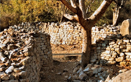 ob_khami_ruins_passage_tree.JPG