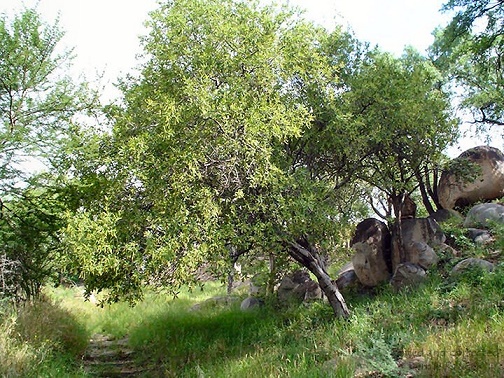 ob_khami_ruins_view_5782.JPG