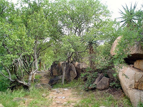 ob_khami_ruins_view_5786.JPG