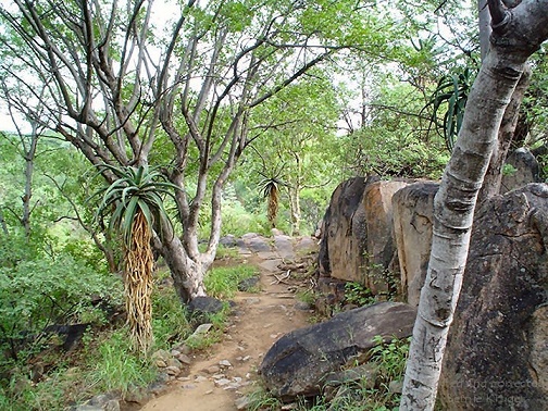 ob_khami_ruins_view_5788.JPG