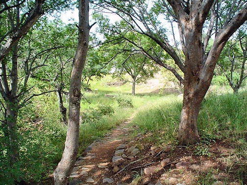 ob_khami_ruins_view_5791.JPG