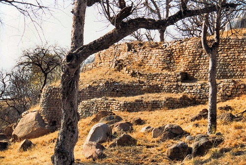 ob_khami_ruins_walls_layered_tree.JPG