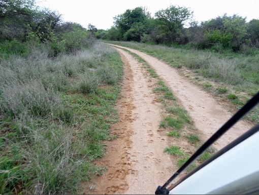 nb_khru_green_road