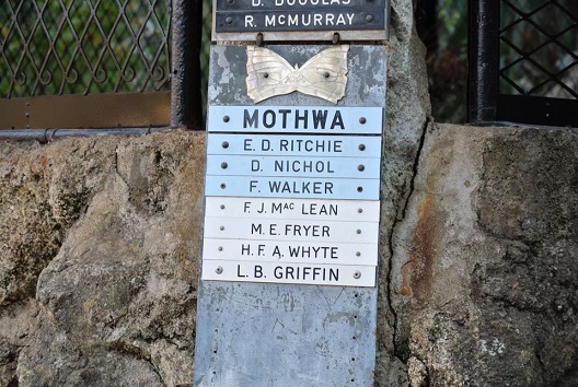 nb_moth_mothwa_names.JPG