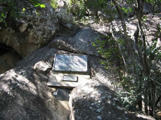 nb_moth_plaque_rock.JPG