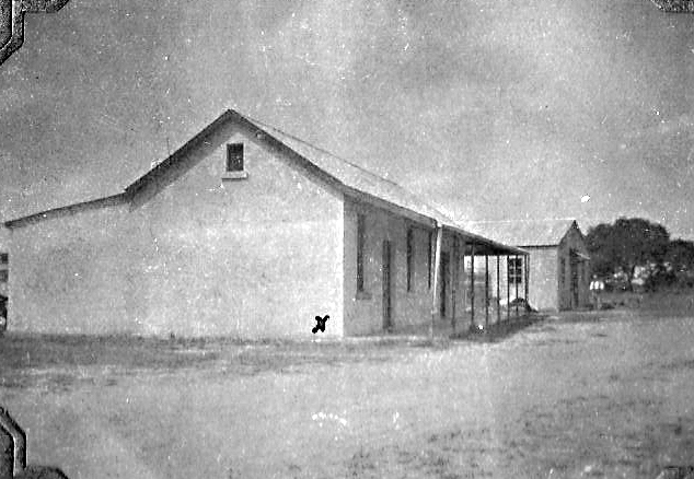 1933_nb_plumtree_callows_store