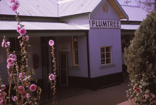 nb_plum_station_1960