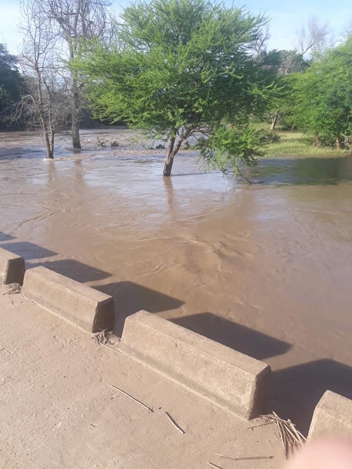 oc_gwaai_river_flood_2021_trees
