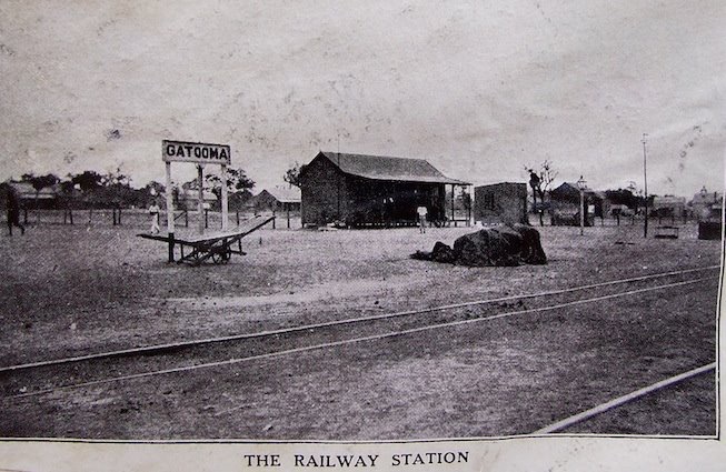 oc_rs_9083_gatooma_1912