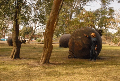 oc_kariba_op_noah_ball_trees