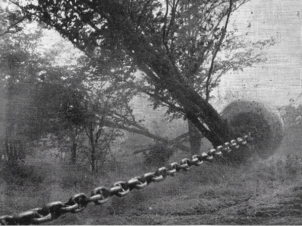 oc_kariba_op_noah_chain_tree