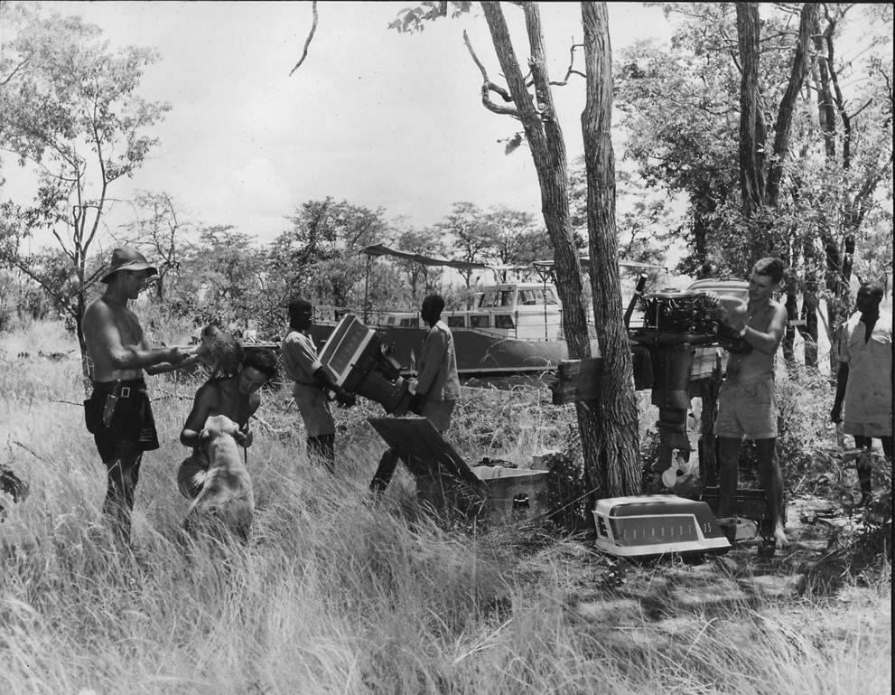 oc_kariba_op_noah_motor