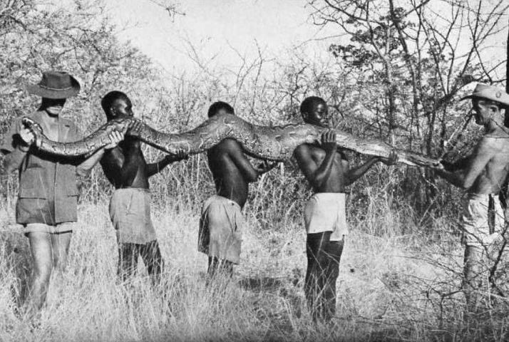 oc_kariba_op_noah_python