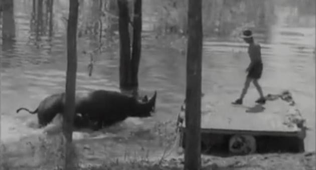 oc_kariba_op_noah_rhino