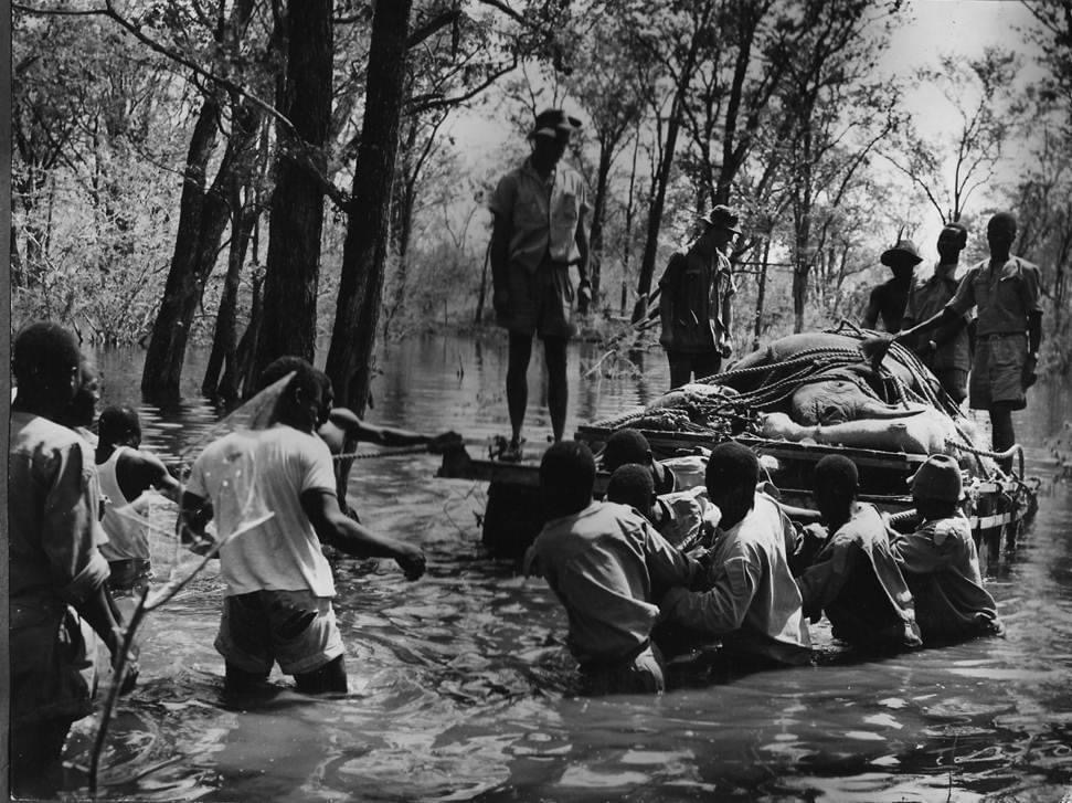 oc_kariba_op_noah_rhino_loading