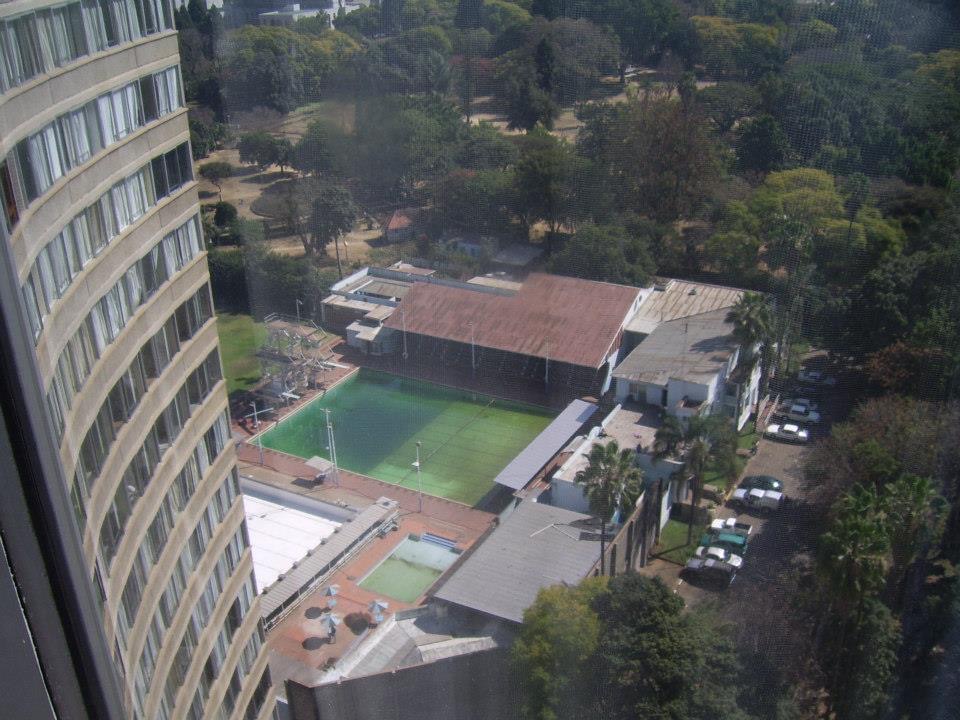 oc_sal_monopotama_lesbrown_02