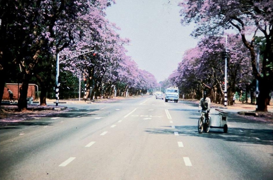 oc_sal_1970s_jackson_1734