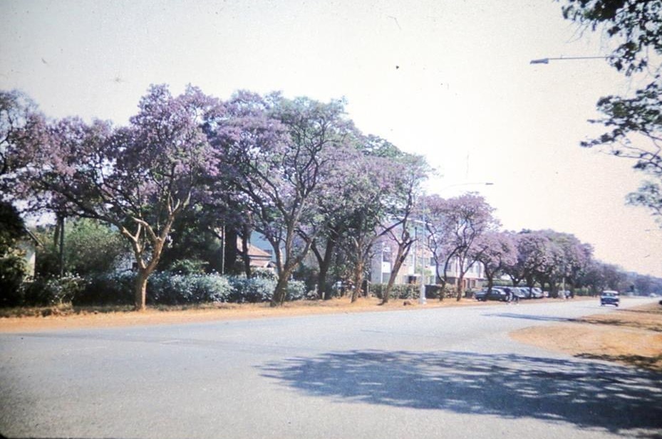 oc_sal_1970s_jackson_1741