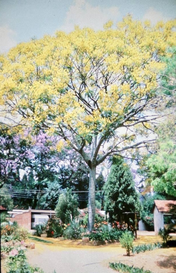 oc_sal_1970s_jackson_1742