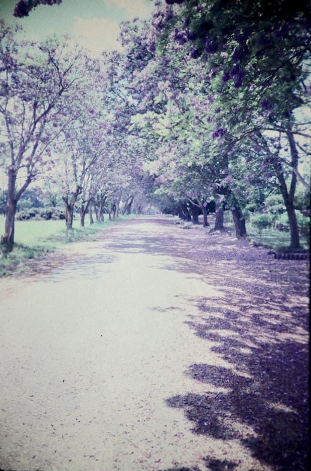 oc_sal_1970s_jackson_1748