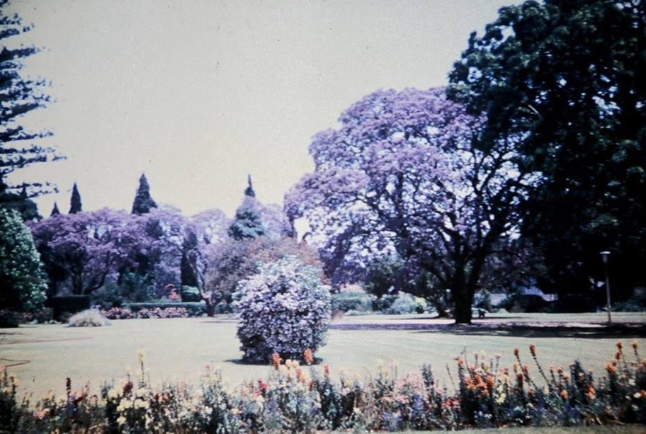 oc_sal_1970s_jackson_1759