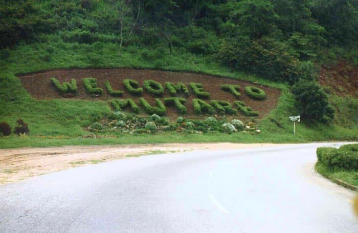 oc_umt_welcome_grass_green