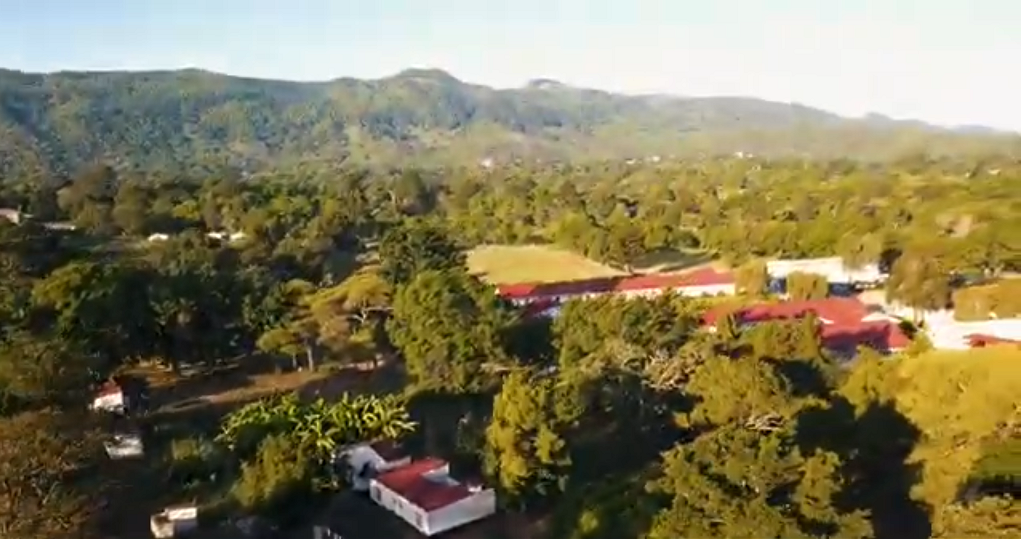 oc_umtali_overhead_trees