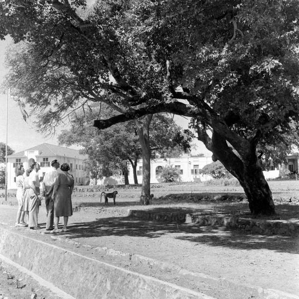 ob_vic_falls_hotel_visitors_bw
