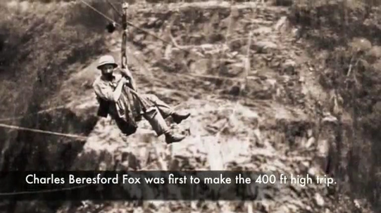 oc_vf_cons_crossing_fox