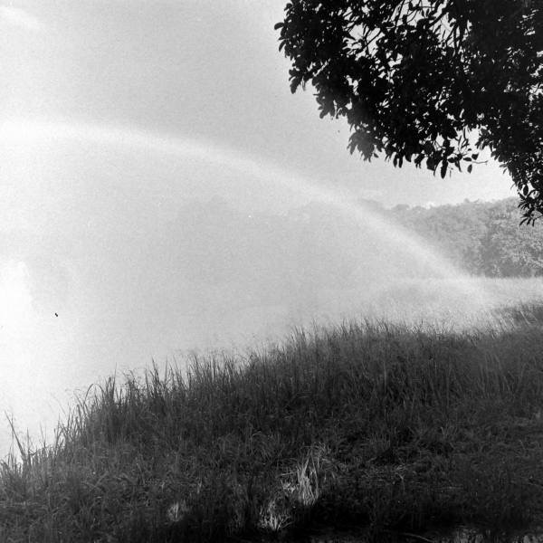 ob_vf_rainbow_grass_bw.JPG