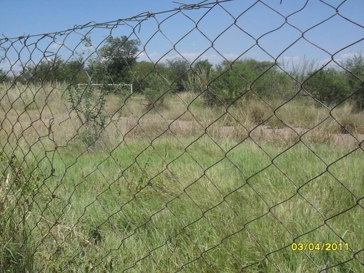 oc_wankie_thomas_coulter_fence