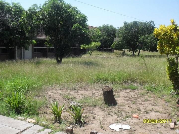 oc_wankie_thomas_coulter_stump