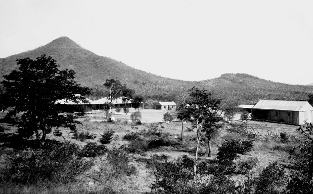 oc_ps_gwanda_1905_tree