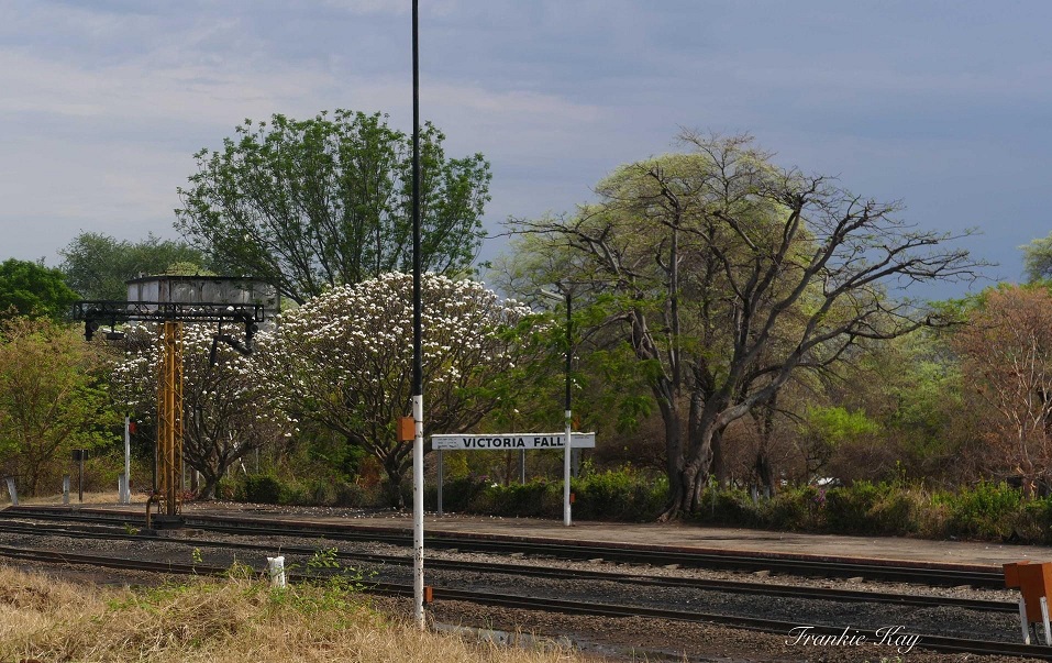 oc_rs_vic_falls_station_sign_tree
