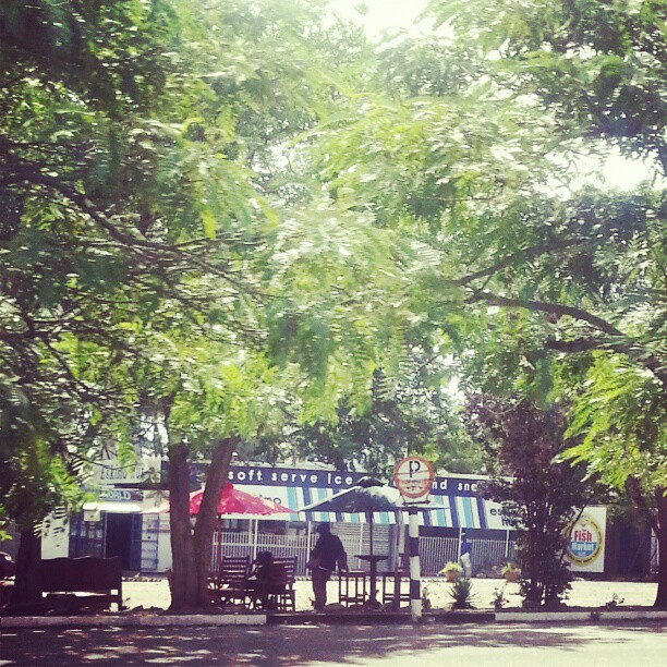 at_esk_eskimo_hut_trees