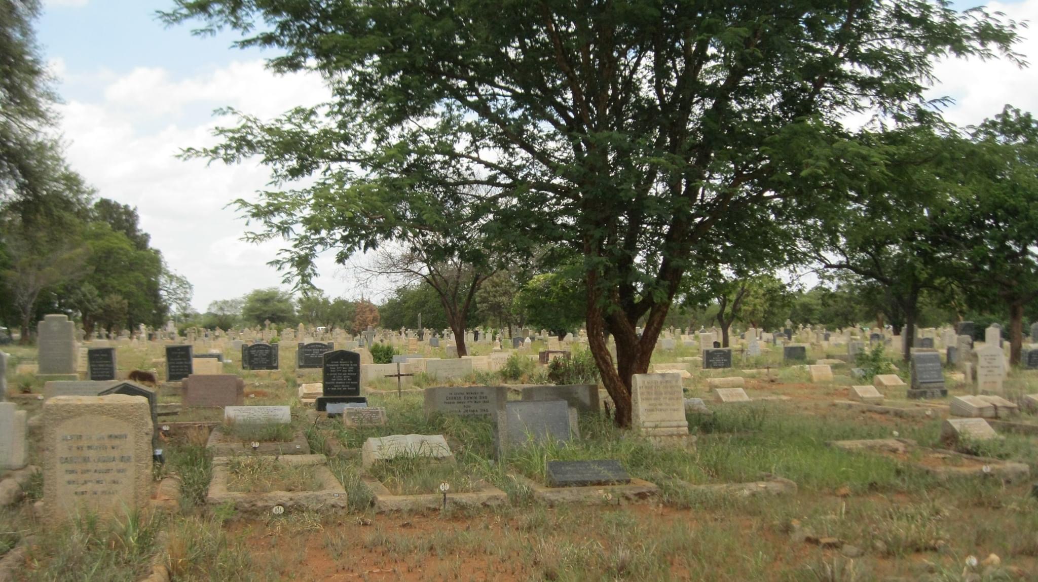 a_cemeteries_headstone_byo_trees