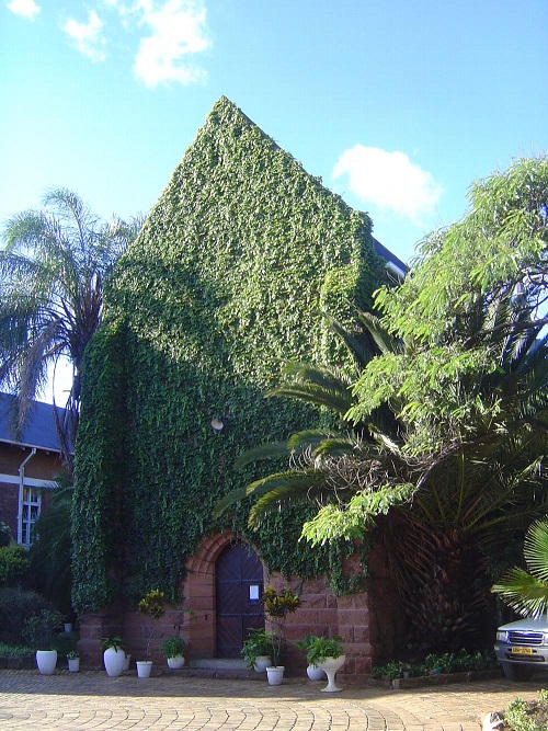 ch_st_johns_cathedral_vines.jpg