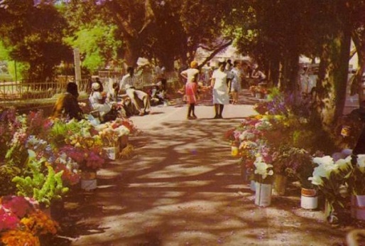 ch_fl_flower_sellers_old.jpg