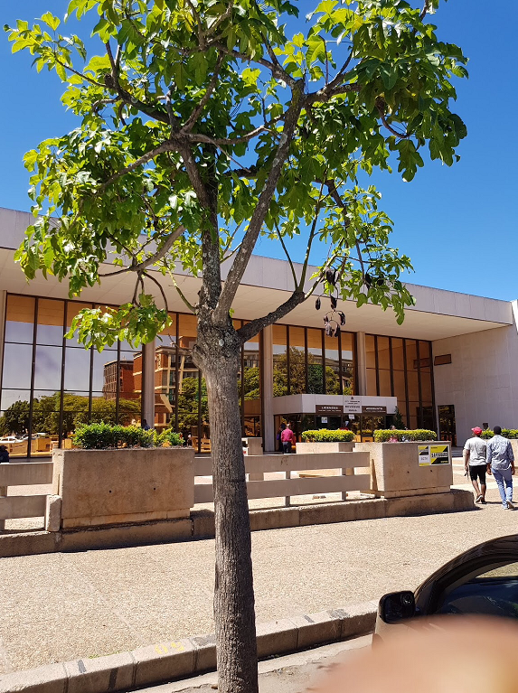 at_bcc_rev_hall_entry_tree