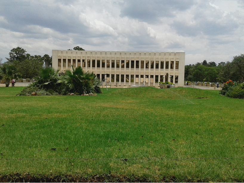 at_bcc_rev_hall_palms