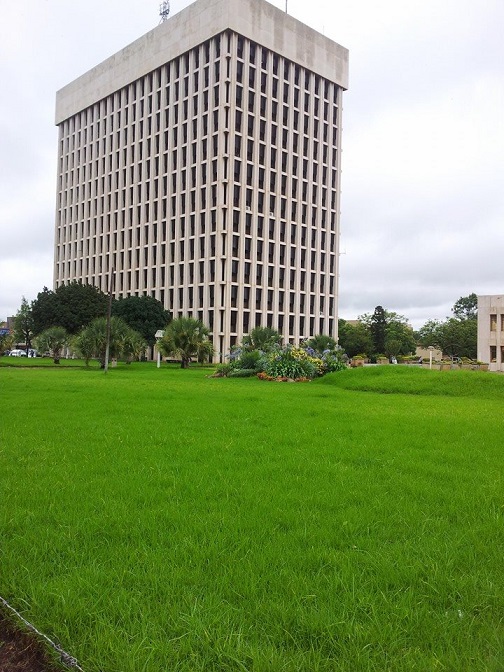 at_bcc_tow_tower_block_green_grass.jpg