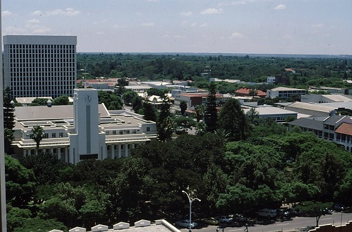 sky_pan_cityhall_trees.jpg