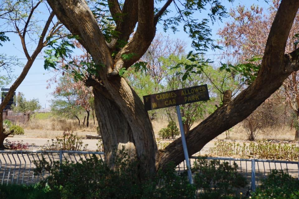 cl_golf_hagc_tree_sign