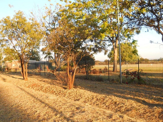 cl_lions_tinhut_along_1st_tee