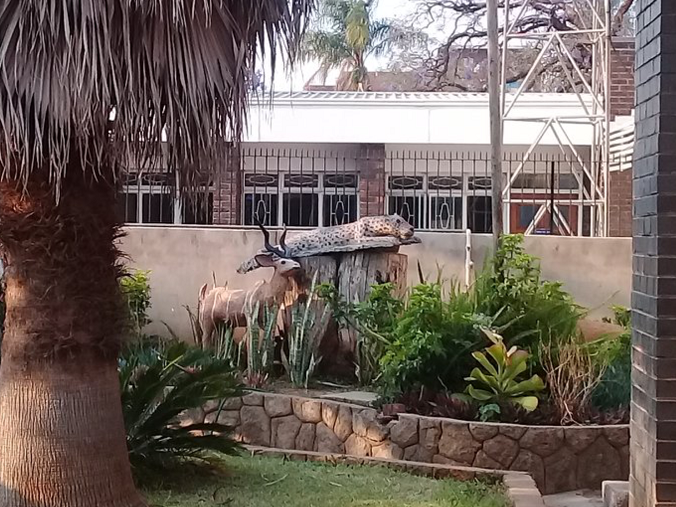 cl_soc_city_club_cheetah