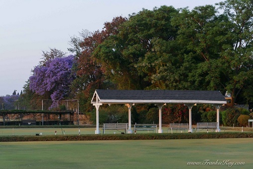 cl_bac_bowls_shelter
