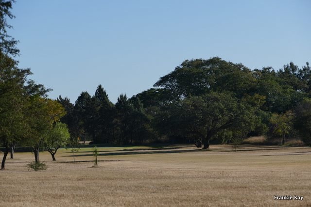 cl_golf_bcc_fairway_brown